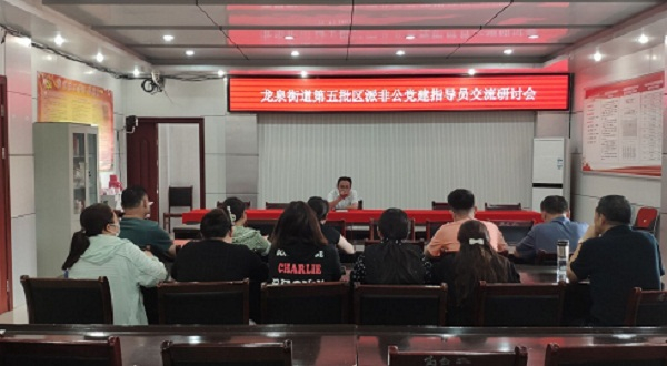 龙泉街道举办第五批区派非公党建指导员交流研讨会